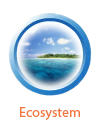 ecosystem